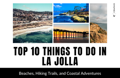 Top 10 Things to Do in La Jolla: Beaches, Hiking Trails, and Coastal Adventures